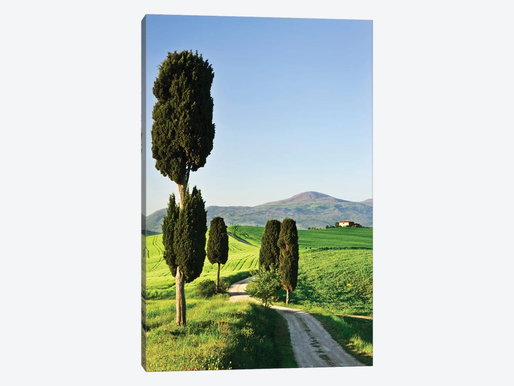 Italy, Tuscany. Landscape with villa by Jaynes Gallery 1-piece Art Print