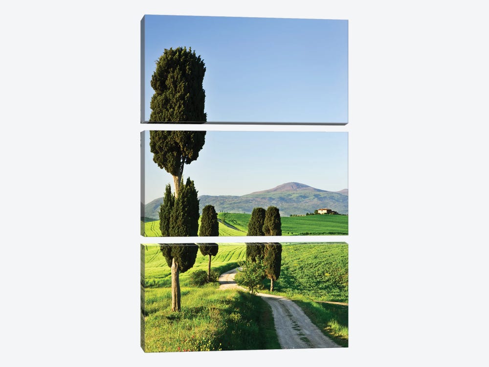 Italy, Tuscany. Landscape with villa by Jaynes Gallery 3-piece Canvas Print