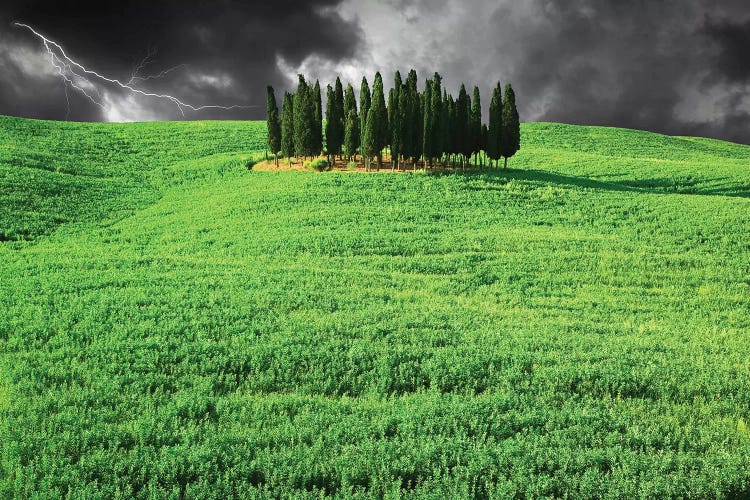 Italy, Tuscany. Lightning behind cypress trees on hill