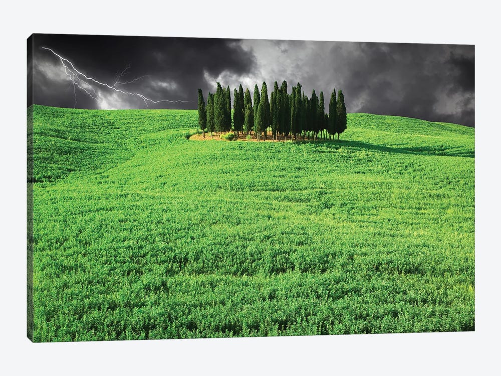 Italy, Tuscany. Lightning behind cypress trees on hill by Jaynes Gallery 1-piece Art Print