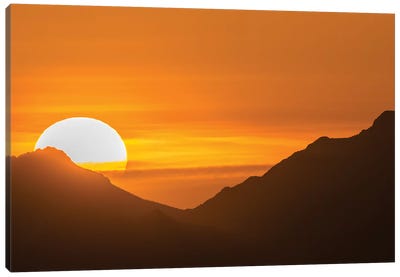 USA, Arizona, Saguaro National Park. Sunset and mountain silhouette.  Canvas Art Print - Saguaro National Park