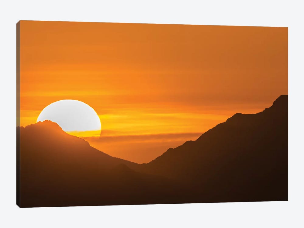 USA, Arizona, Saguaro National Park. Sunset and mountain silhouette.  by Jaynes Gallery 1-piece Canvas Artwork