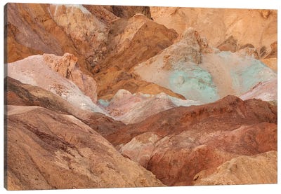 USA, California, Death Valley National Park. Arid landscape. Canvas Art Print - Death Valley National Park Art