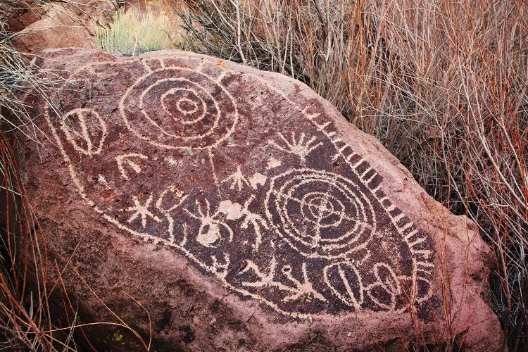 USA, California, Owens Valley. Petroglyphs covering boulder.