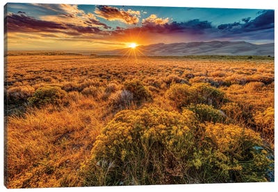 USA, Colorado, Great Sand Dunes National Park and Preserve. Sunset over dunes and plain. Canvas Art Print - Colorado Art