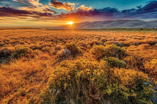 Danita Delimont Photography: USA, Colorado, Great Sand Dunes National Park and Preserve. Sunset over dunes and plain. by Jaynes Gallery