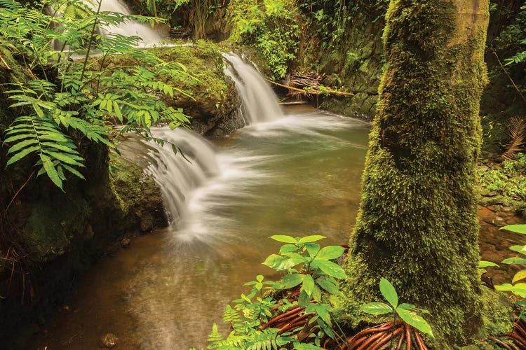 USA, Hawaii, Hawaii Tropical Botanical Garden. Waterfall scenic.