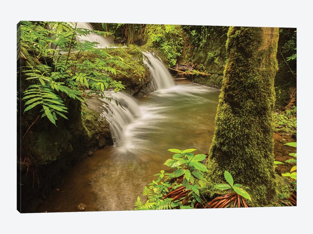 USA, Hawaii, Hawaii Tropical Botanical Garden. Waterfall scenic. by Jaynes Gallery 1-piece Canvas Artwork