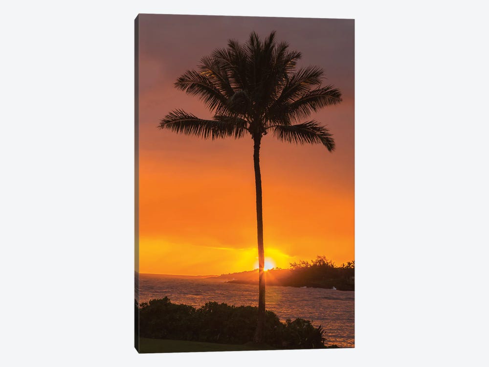 USA, Hawaii, Kauai, Lawai. Palm tree at sunset. by Jaynes Gallery 1-piece Canvas Wall Art