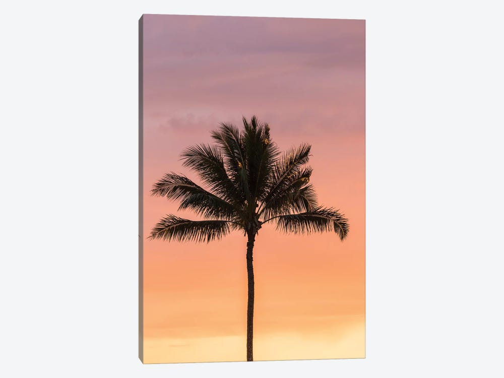 USA, Hawaii, Kauai, Lawai. Palm tree at sunset. by Jaynes Gallery 1-piece Art Print