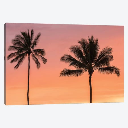 USA, Hawaii, Kauai, Lawai. Palm trees at sunset. Canvas Print #JYG659} by Jaynes Gallery Canvas Artwork