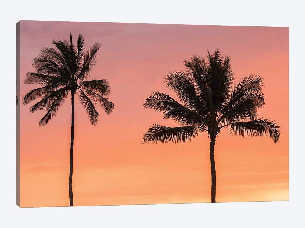USA, Hawaii, Kauai, Lawai. Palm trees at sunset. by Jaynes Gallery 1-piece Canvas Artwork