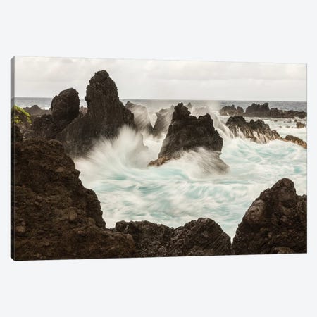 USA, Hawaii, Laupahoehoe Beach Point State Park. Crashing waves on shore rocks. Canvas Print #JYG664} by Jaynes Gallery Canvas Wall Art
