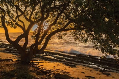 USA, Kauai, Wawalohi Beach Park. Sunset on ocean beach and trees. by Jaynes Gallery framed wall art