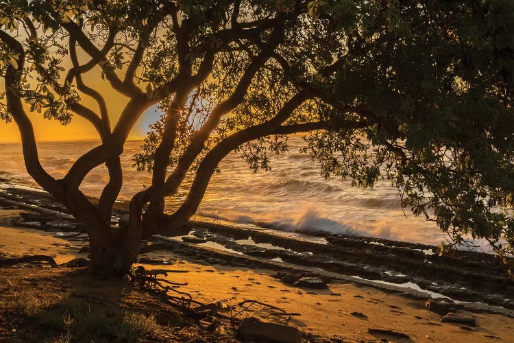 USA, Kauai, Wawalohi Beach Park. Sunset on ocean beach and trees.