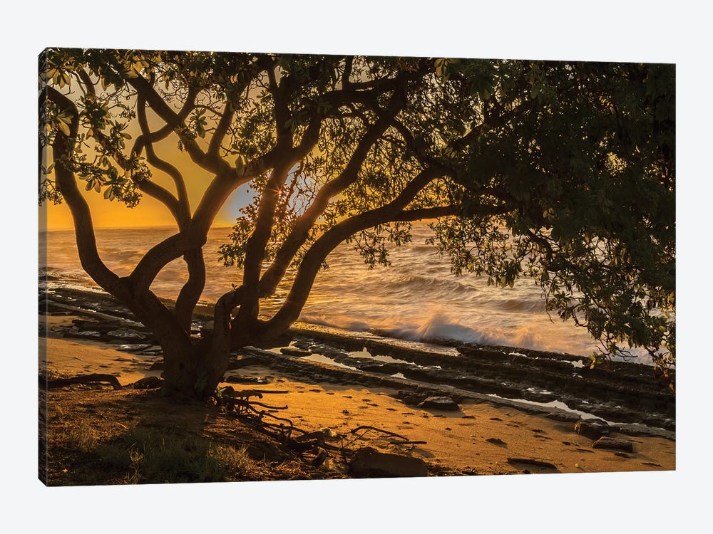 USA, Kauai, Wawalohi Beach Park. Sunset on ocean beach and trees. by Jaynes Gallery 1-piece Art Print