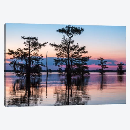 USA, Louisiana, Atchafalaya National Wildlife Refuge. Sunrise on swamp.  Canvas Print #JYG674} by Jaynes Gallery Canvas Print