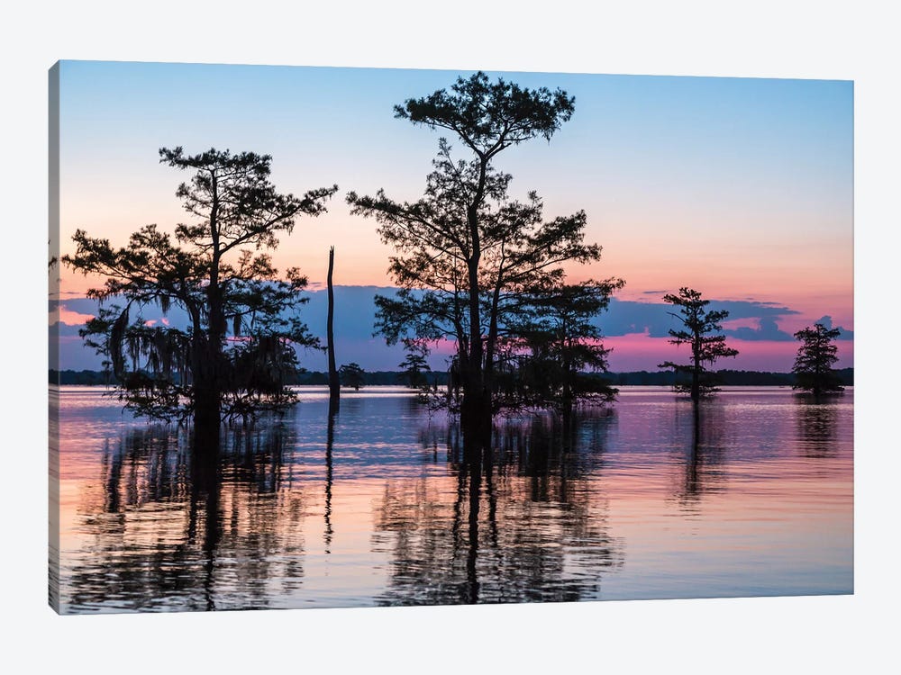 USA, Louisiana, Atchafalaya National Wildlife Refuge. Sunrise on swamp.  by Jaynes Gallery 1-piece Canvas Art Print
