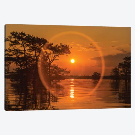 USA, Louisiana, Atchafalaya National Wildlife Refuge. Sunrise on swamp.  Canvas Print #JYG676} by Jaynes Gallery Canvas Art Print
