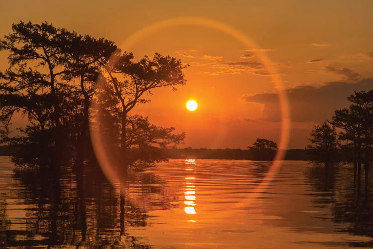 USA, Louisiana, Atchafalaya National Wildlife Refuge. Sunrise on swamp. 