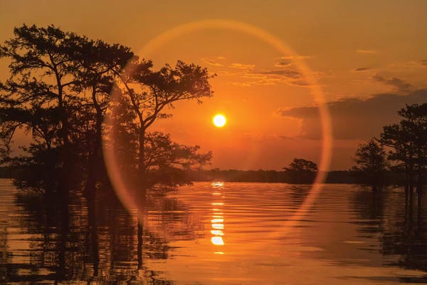 Louisiana: USA, Louisiana, Atchafalaya National Wildlife Refuge. Sunrise on swamp.  by Jaynes Gallery