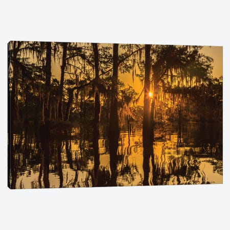 USA, Louisiana, Atchafalaya National Wildlife Refuge. Sunrise on swamp.  Canvas Print #JYG678} by Jaynes Gallery Canvas Wall Art