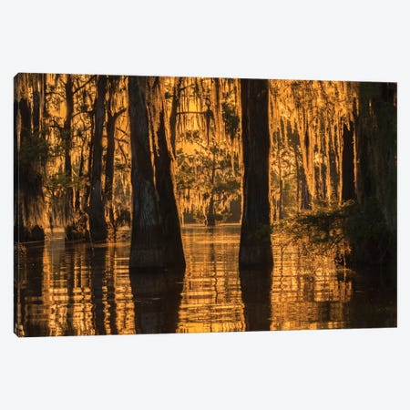 USA, Louisiana, Atchafalaya National Wildlife Refuge. Sunrise on swamp.  Canvas Print #JYG680} by Jaynes Gallery Canvas Art Print