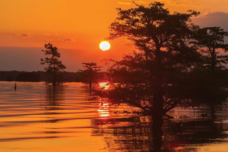 USA, Louisiana, Atchafalaya National Wildlife Refuge. Sunrise on swamp. 