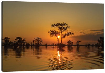 USA, Louisiana, Atchafalaya National Wildlife Refuge. Sunrise on swamp.  Canvas Art Print - Louisiana Art