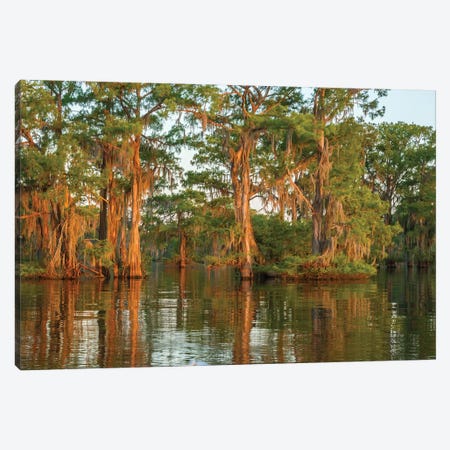 USA, Louisiana, Atchafalaya National Wildlife Refuge. Sunrise on swamp.  Canvas Print #JYG684} by Jaynes Gallery Canvas Artwork