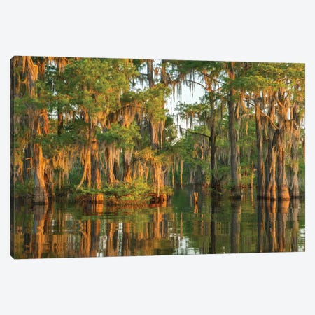 USA, Louisiana, Atchafalaya National Wildlife Refuge. Sunrise on swamp.  Canvas Print #JYG685} by Jaynes Gallery Canvas Artwork