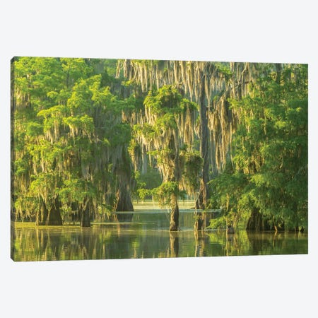 USA, Louisiana, Atchafalaya National Wildlife Refuge. Sunrise on swamp.  Canvas Print #JYG686} by Jaynes Gallery Canvas Art