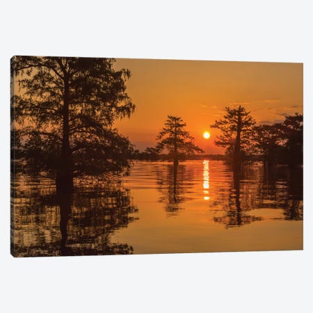 USA, Louisiana, Atchafalaya National Wildlife Refuge. Sunrise on swamp.  Canvas Print #JYG687} by Jaynes Gallery Canvas Artwork