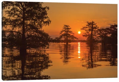 USA, Louisiana, Atchafalaya National Wildlife Refuge. Sunrise on swamp.  Canvas Art Print - Marsh & Swamp Art