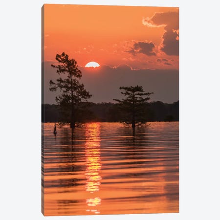 USA, Louisiana, Atchafalaya National Wildlife Refuge. Sunrise on swamp.  Canvas Print #JYG689} by Jaynes Gallery Art Print