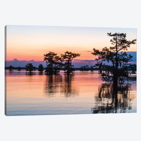 USA, Louisiana, Atchafalaya National Wildlife Refuge. Sunrise on swamp.  Canvas Print #JYG690} by Jaynes Gallery Canvas Artwork