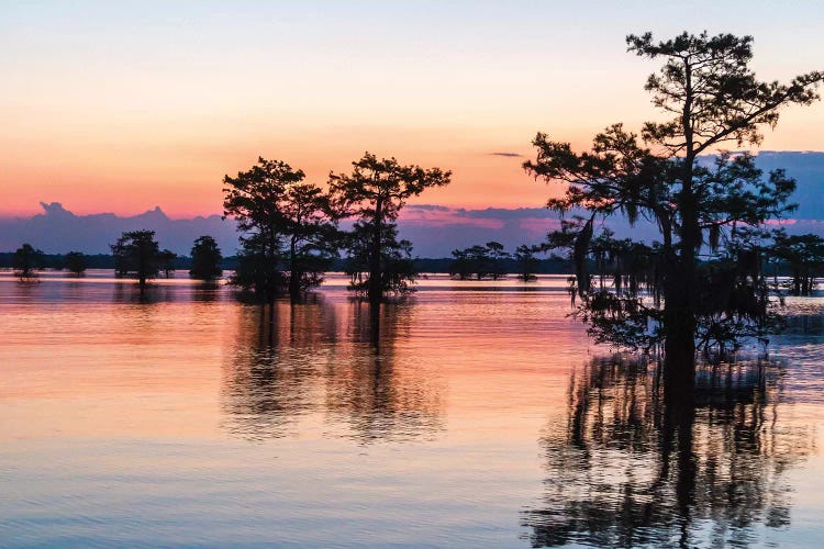 USA, Louisiana, Atchafalaya National Wildlife Refuge. Sunrise on swamp. 