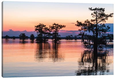 USA, Louisiana, Atchafalaya National Wildlife Refuge. Sunrise on swamp.  Canvas Art Print - Jaynes Gallery