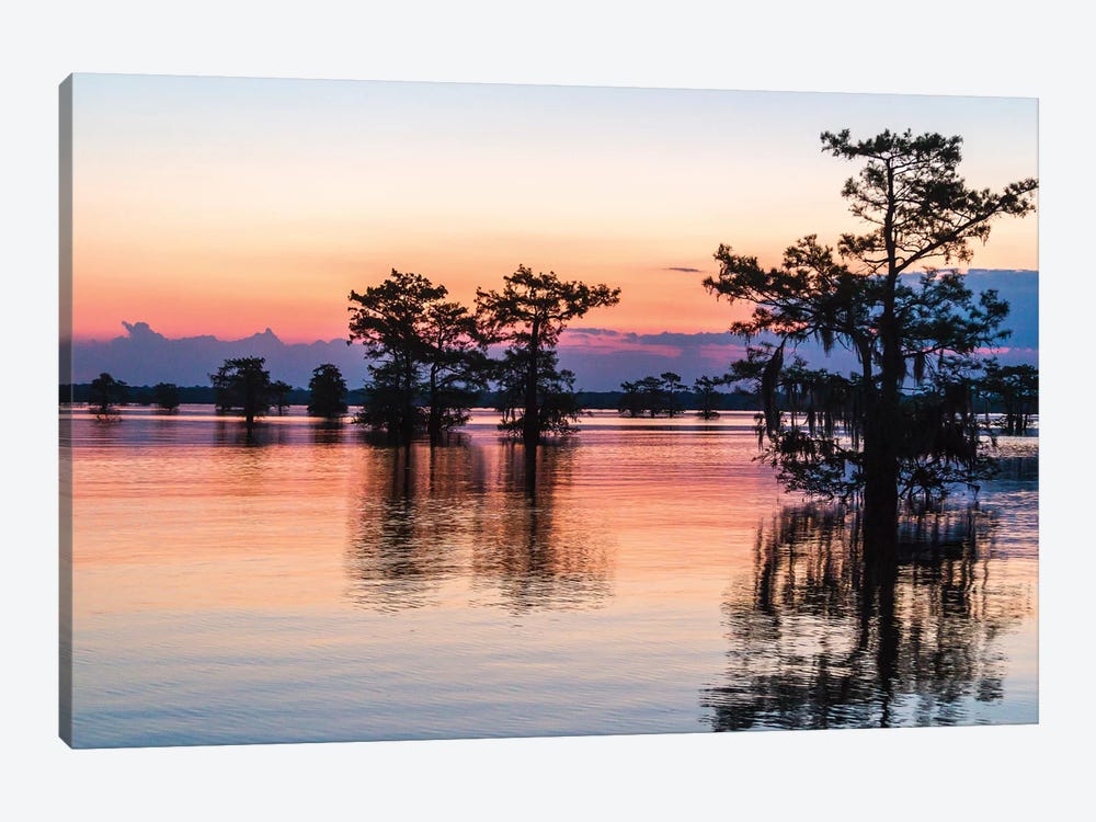 USA, Louisiana, Atchafalaya National Wildlife Refuge. Sunrise on swamp.  by Jaynes Gallery 1-piece Art Print