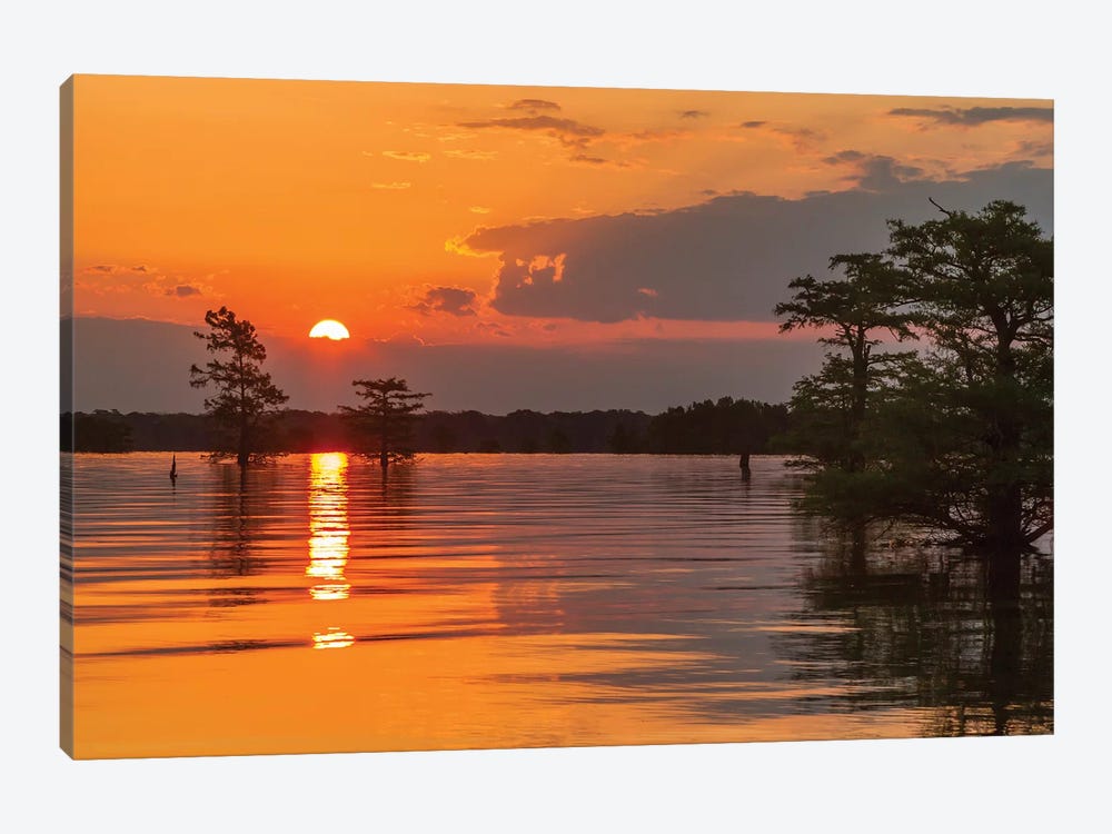 USA, Louisiana, Atchafalaya National Wildlife Refuge. Sunrise on swamp.  by Jaynes Gallery 1-piece Canvas Artwork
