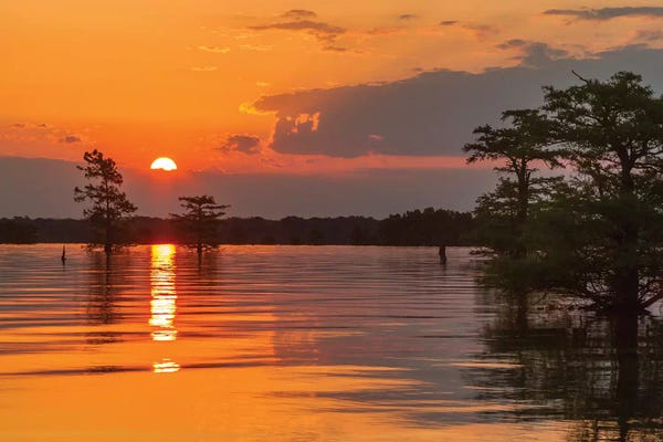 Louisiana: USA, Louisiana, Atchafalaya National Wildlife Refuge. Sunrise on swamp.  by Jaynes Gallery