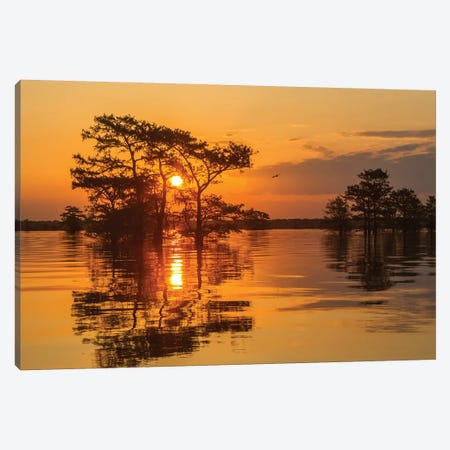 USA, Louisiana, Atchafalaya National Wildlife Refuge. Sunrise on swamp.  Canvas Print #JYG692} by Jaynes Gallery Canvas Art