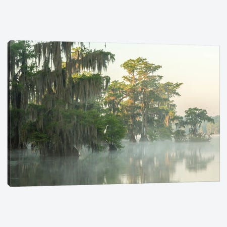 USA, Louisiana, Lake Martin. Foggy sunrise on swamp.  Canvas Print #JYG697} by Jaynes Gallery Art Print