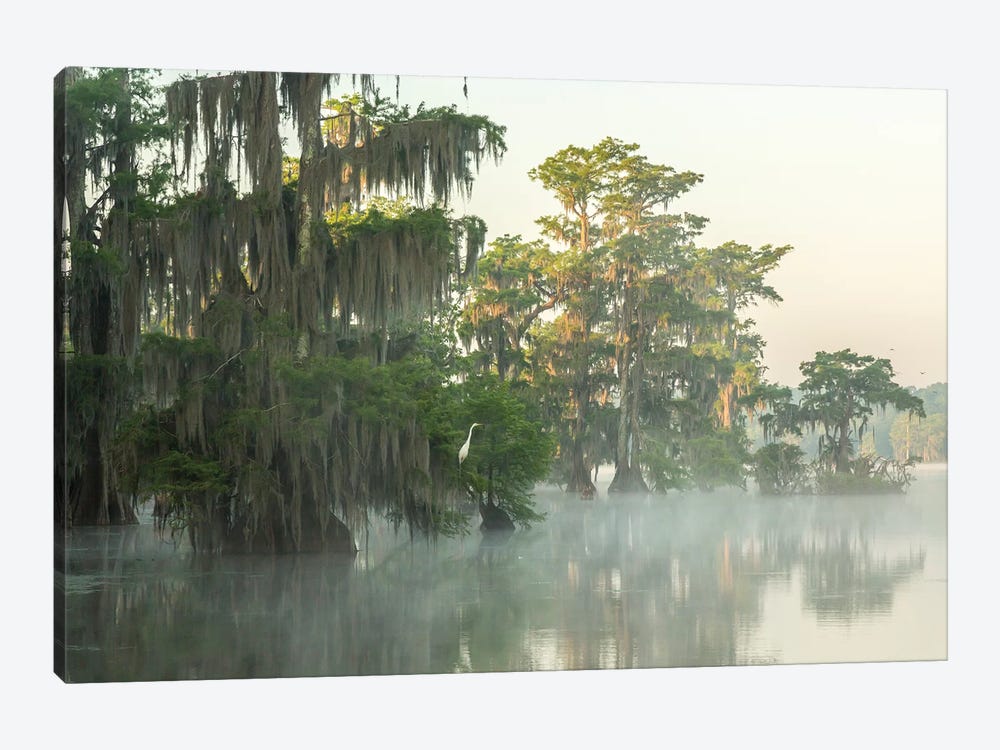 USA, Louisiana, Lake Martin. Foggy sunrise on swamp.  by Jaynes Gallery 1-piece Canvas Artwork