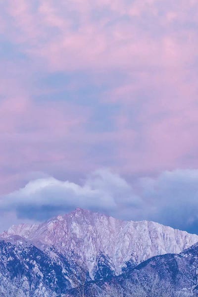Nevada: USA, Nevada, White Mountains. Sunset on Boundary Peak. by Jaynes Gallery