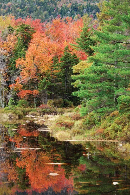 USA, New Hampshire, White Mountains. Autumn lake reflections.