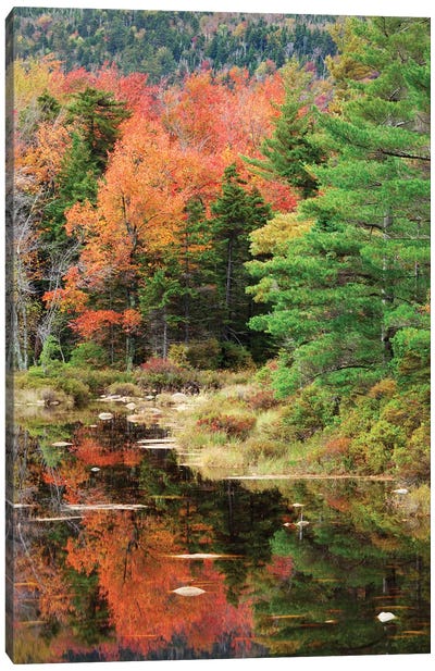 USA, New Hampshire, White Mountains. Autumn lake reflections. Canvas Art Print - New Hampshire Art