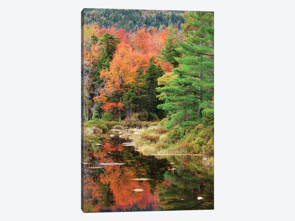 USA, New Hampshire, White Mountains. Autumn lake reflections. by Jaynes Gallery 1-piece Canvas Art Print