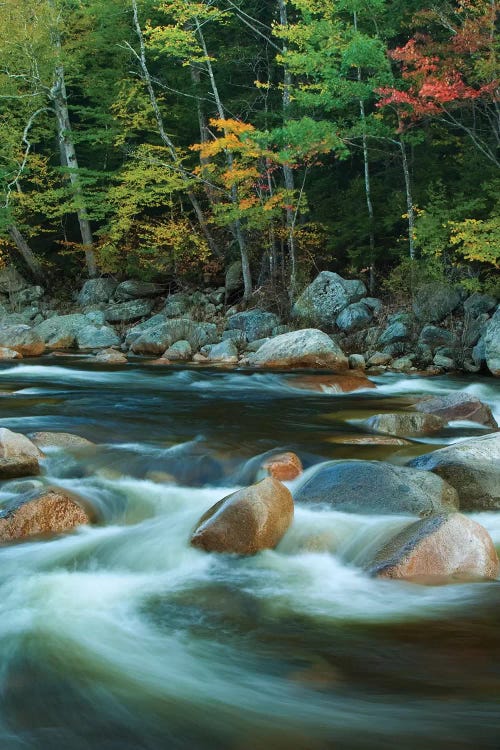 USA, New Hampshire. Autumn trees and flowing river.