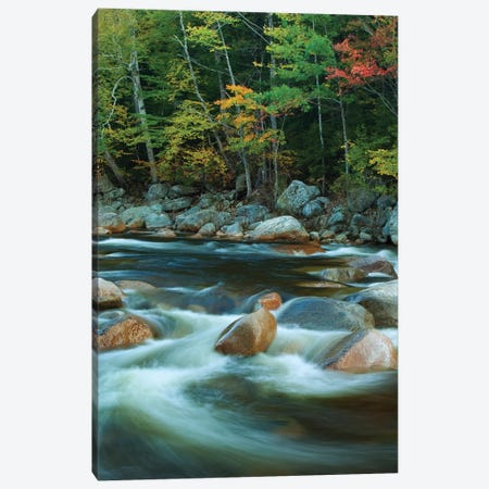 USA, New Hampshire. Autumn trees and flowing river. Canvas Print #JYG723} by Jaynes Gallery Canvas Art
